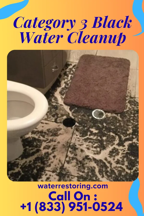 Category 3 Black Water Cleanup in Fort Wright, KY
