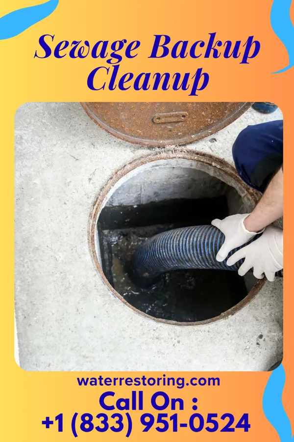 Sewage Backup Cleanup in Fort Wright, KY