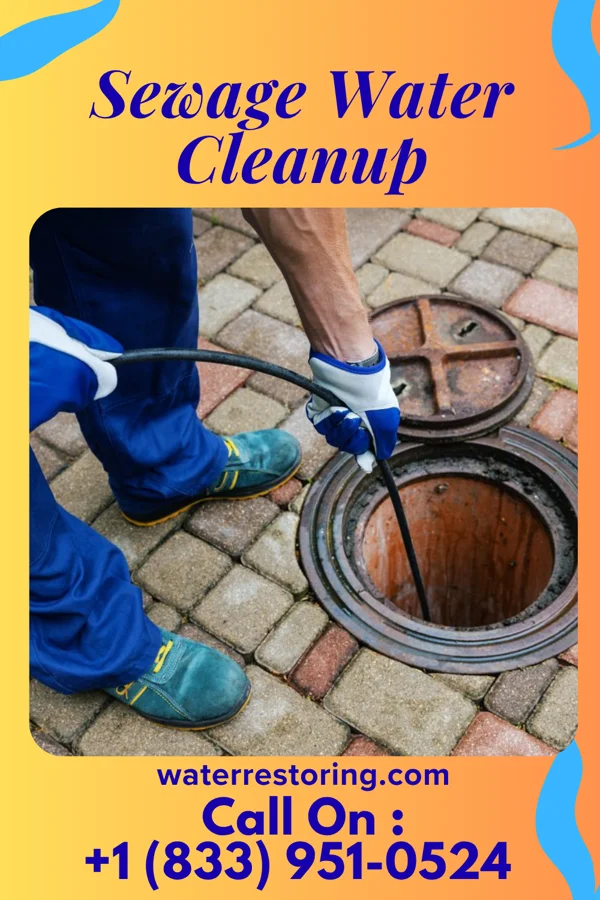 Sewage Water Cleanup in Fort Wright, KY
