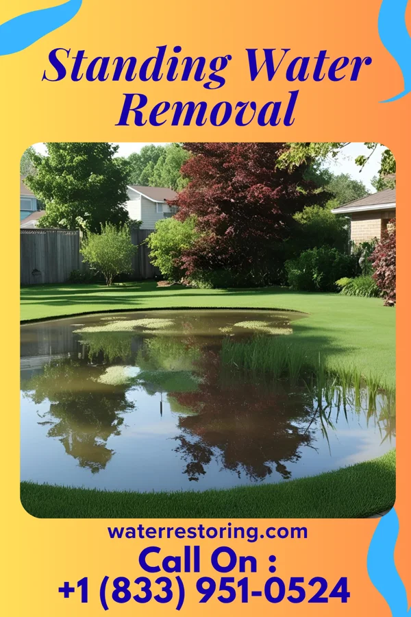Standing Water Removal in Fort Wright, KY